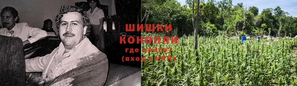 таблы Болотное