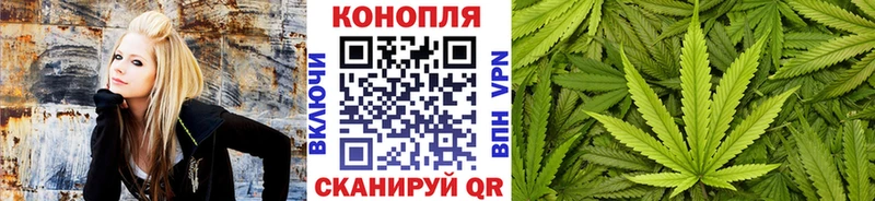 Бошки марихуана сатива Жигулёвск